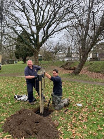 Tree Planting Project in the Meadows